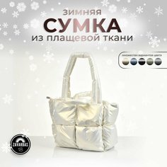 Сумка , фактура гладкая, жемчужный Zavarbas 18