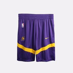 Шорты NIKE Icon, размер XL, фиолетовый