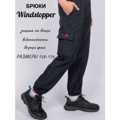 Брюки BFkids Брюки WindStopper, размер 140, , графит