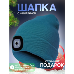 Шапка бини Шапка с фонариком для взрослых и детей, размер универсальный, сине-зеленый Liku