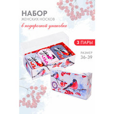 Носки Berchelli, комплект, 3 пары, размер 23-25, серый, голубой, красный, розовый, черный, бордовый, белый