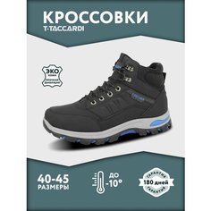 Ботинки T.Taccardi, размер 40, черный
