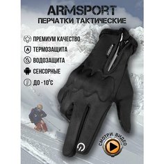 Перчатки ARMSPORT Зима-демисезон для мужчин, размер L, черный