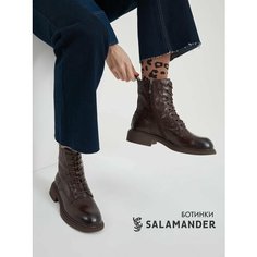 Ботинки тимберленды Salamander, размер 39, темно-коричневый