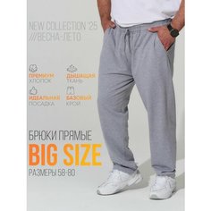 Брюки MR. BIGMAN Коллекция MB больших размеров, размер 58, серый