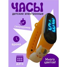 Наручные часы Pakhta tex