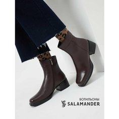Ботильоны Salamander, размер 36, бордовый