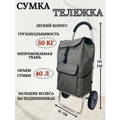 Сумка-тележка , 40 л, 45х101, серый Нет бренда