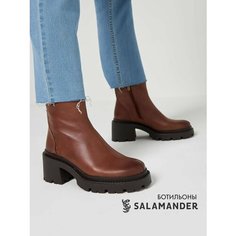 Ботильоны челси Salamander, размер 41, коричневый