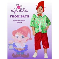 Карнавальный костюм "Гном Вася" ПУГОВКА