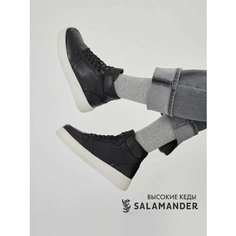 Кеды Salamander, полнота 4 (RU)/ на узкую и среднюю стопу, размер 37, черный