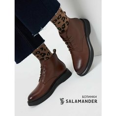Ботинки дерби Salamander, размер 36, коричневый