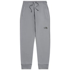 Брюки спортивные The North Face, размер XS, серый