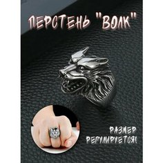 Кольцо, безразмерное, серебристый Нет бренда