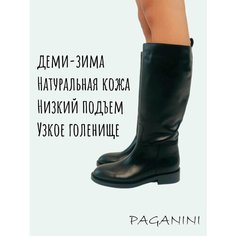 Сапоги PAGANINI, размер 39, черный