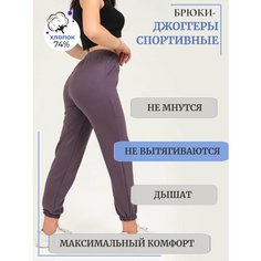 Брюки спортивные Промдизайн, размер 60, фиолетовый