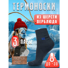 Носки Береза, комплект, 3 пары, размер 41-47, серый