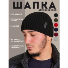 Шапка бини для мужчин, размер 52/58, черный Нет бренда