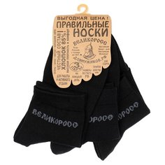 Носки Великоросс, комплект, 3 пары, размер 27 (41-44), черный