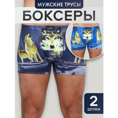 Трусы Berchelli, комплект из 2 шт., размер 48, голубой, синий, черный