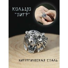 Кольцо, безразмерное, серебристый Нет бренда
