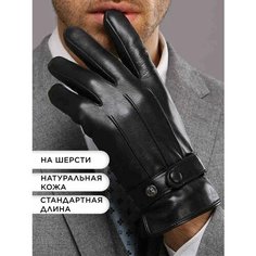 Перчатки для мужчин, размер 8.5, черный Clarissa