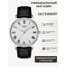 Наручные часы TISSOT, черный/серебристый