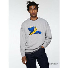 Свитшот Uniqlo KAWS + WARHOL, размер L, , grey