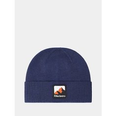 Шапка Ritter jeans для мужчин, размер Б/Р, синий