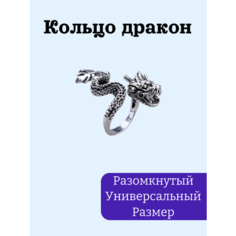 Кольцо-кулон, безразмерное, серебряный Нет бренда
