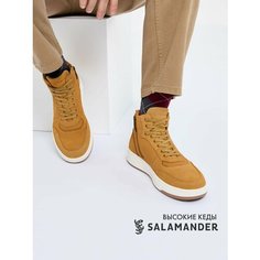 Кроссовки Salamander, полнота 6 (RU)/ на среднюю стопу, размер 40, светло-коричневый