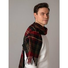 Шарф Lavantti мужская для мужчин,170х30 см, универсальный, бордовый