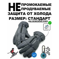 Перчатки Горные лыжи и Сноуборд для взрослых и детей, размер Средний (универсальный мужской), серый Нет бренда