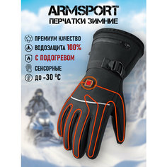 Перчатки ARMSPORT Зима-демисезон для мужчин, размер L, черный