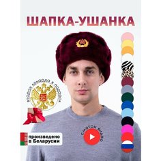 Шапка ушанка Шапка ушанка мужская, женская, утепленная, демисезон, зима для мужчин и женщин, размер 58, бордовый Нет бренда