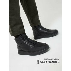 Ботинки тимберленды Salamander, размер 41, черный