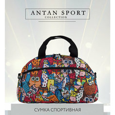 Сумка спортивная Antan, 23 л, 19х25х41 см, ручная кладь, мультиколор