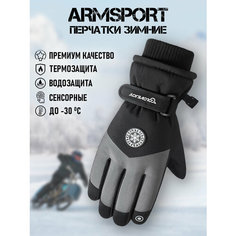 Перчатки ARMSPORT Зима-демисезон для мужчин, размер L, серый, черный