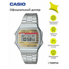 Наручные часы CASIO Vintage, серый