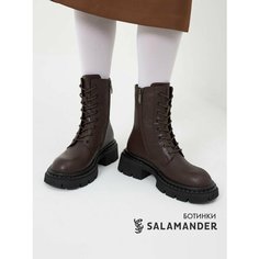 Ботинки дерби Salamander, размер 38, темно-коричневый