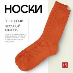 Носки Uniqlo Базовая коллекция, размер 24, оранжевый