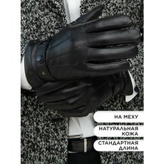 Перчатки для мужчин, размер 10, черный Clarissa