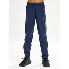 Брюки спортивные PUMA teamLIGA, размер 116, синий