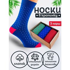 Носки Годовой запас носков, комплект, 3 пары, размер 25 (39-41), мультиколор