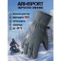 Перчатки ARMSPORT Зима-демисезон для мужчин, размер L, серый