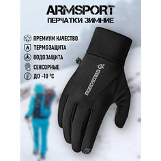 Перчатки ARMSPORT Зима-демисезон для мужчин, размер L, черные