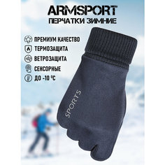 Перчатки ARMSPORT Зима-демисезон для мужчин, размер М, синий