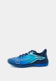 Кроссовки Mizuno