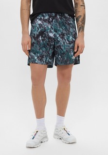 Шорты спортивные The North Face