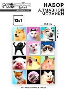Алмазная мозаика 12 в 1 Школа талантов
